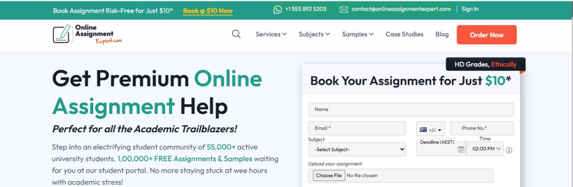 Online Assignment Expert Cover Image