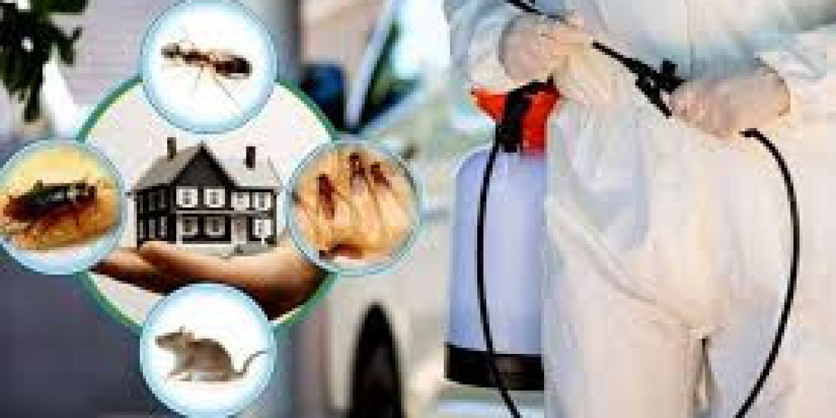 Trusted Termite Control Services in Lahore Protect Every Structure from Hidden Threats