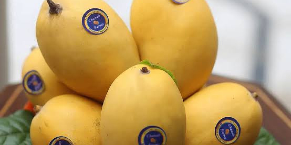Which Are the Best Dry Mango Companies in Pakistan? A Complete Buyer's Guide