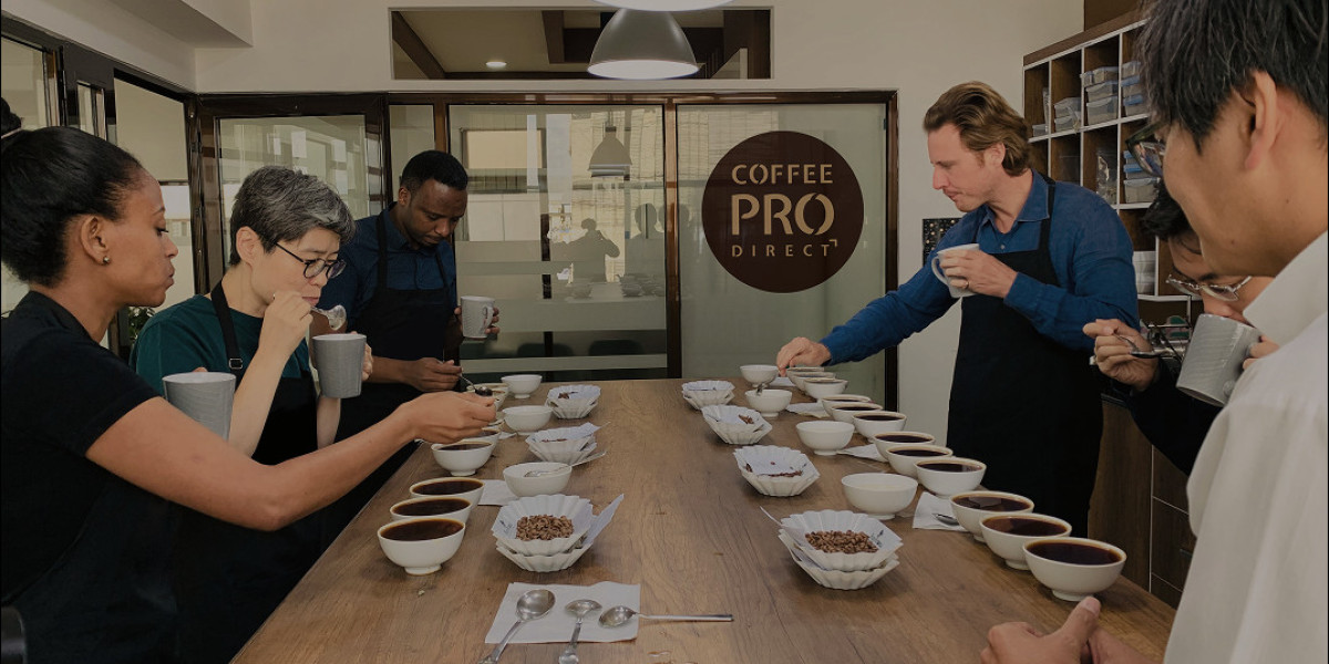 Professional Coffee Roasting Setup for Success By Coffee Pro Direct