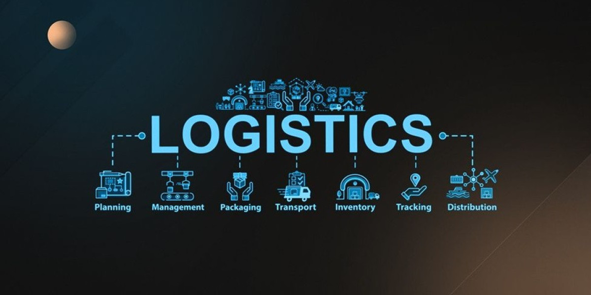 Best Shipping Logistic Software in Ajman: Driving Logistics Success with the Support of an SEO Company in UAE